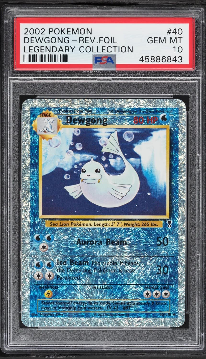 Dewgong