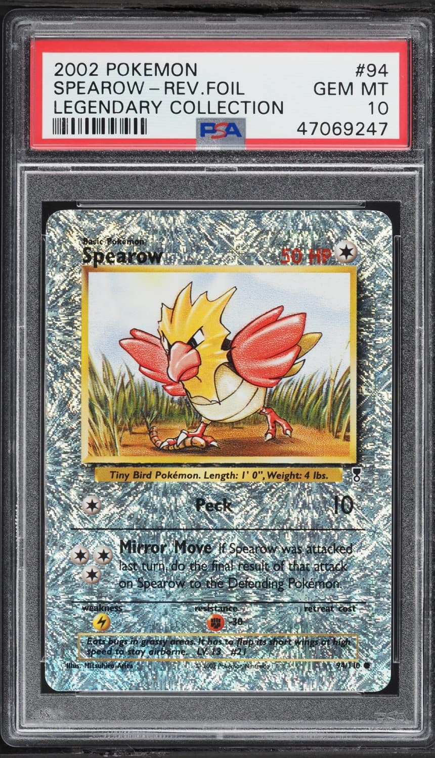Spearow
