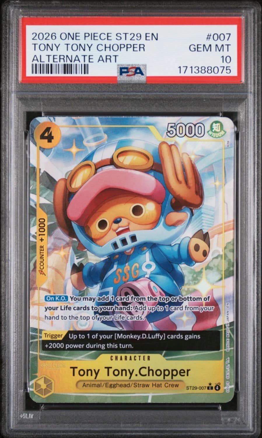 Tony Tony Chopper