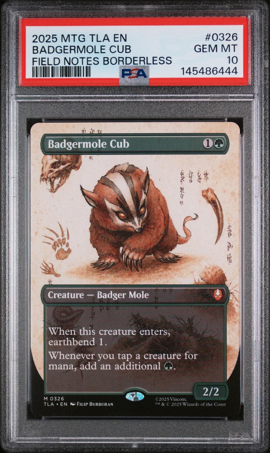 Badgermole Cub