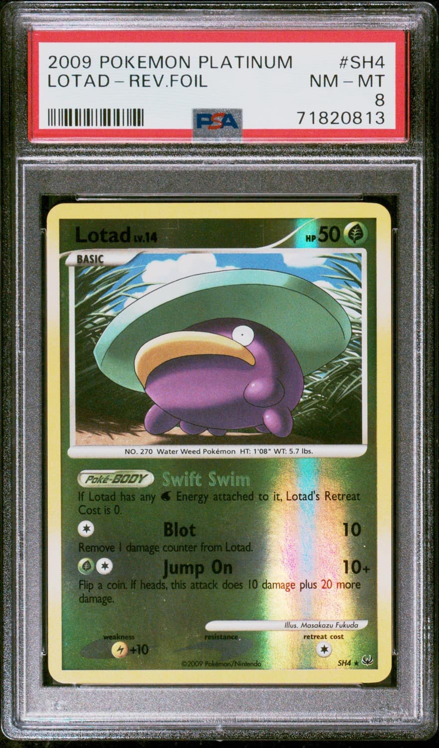 Lotad