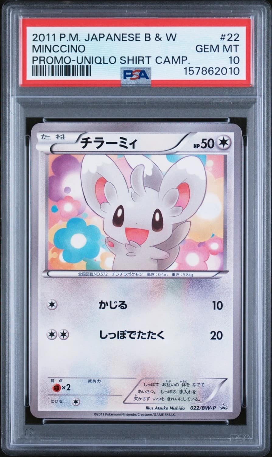 Minccino