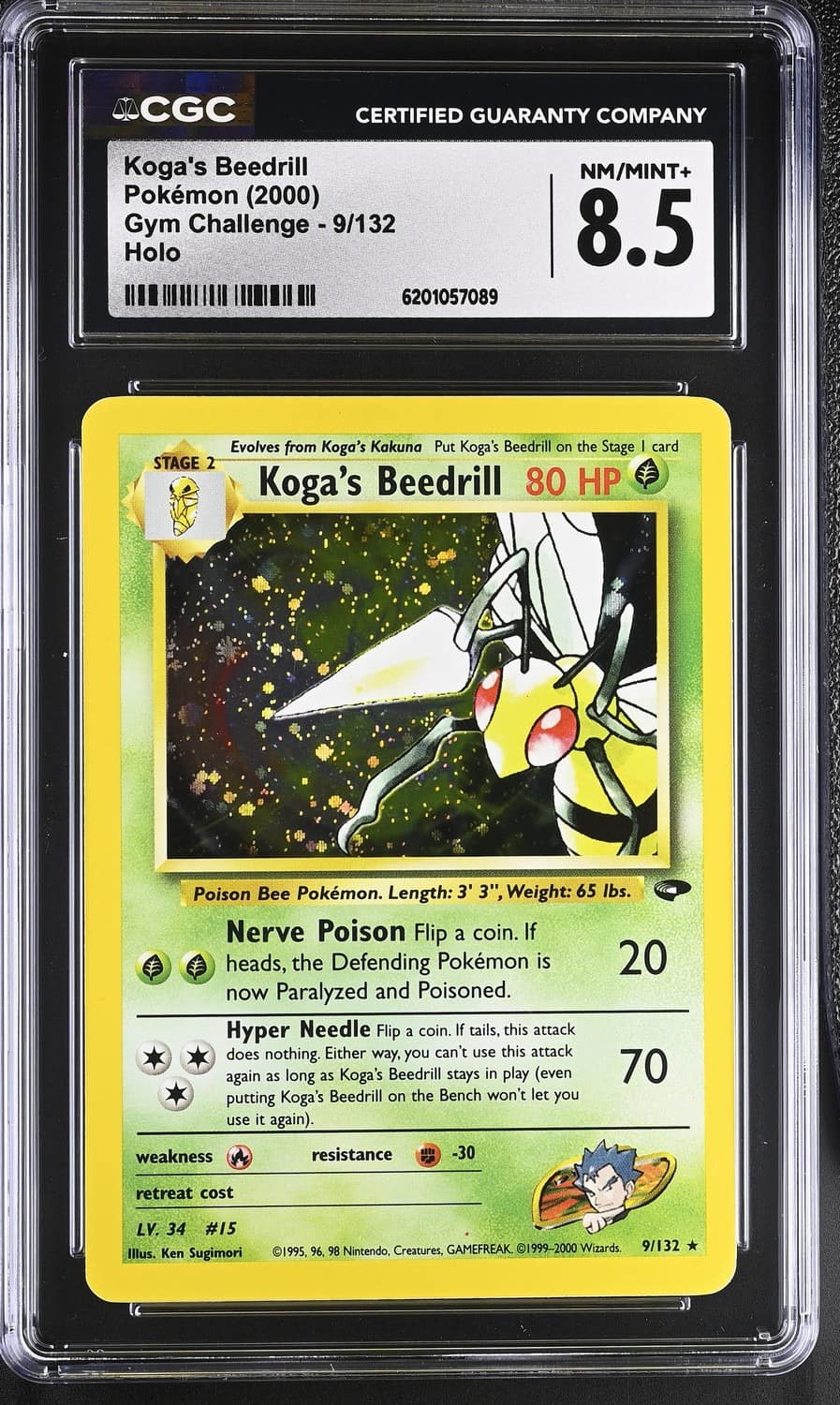 Koga'S Beedrill