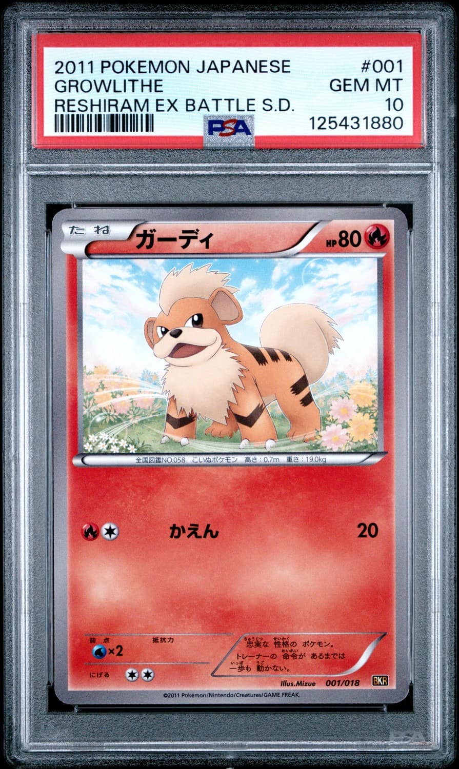 Growlithe