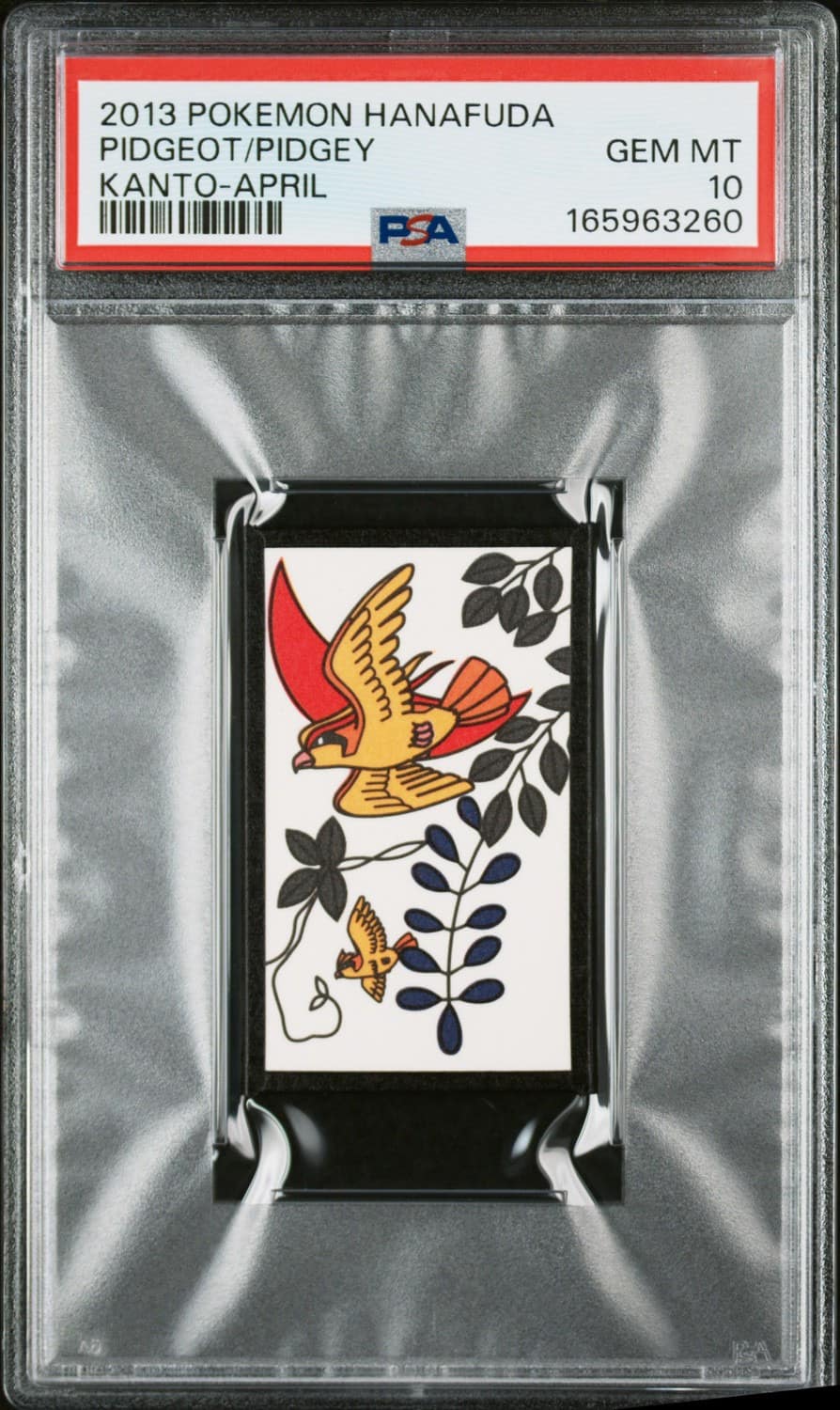 Pidgeot/pidgey