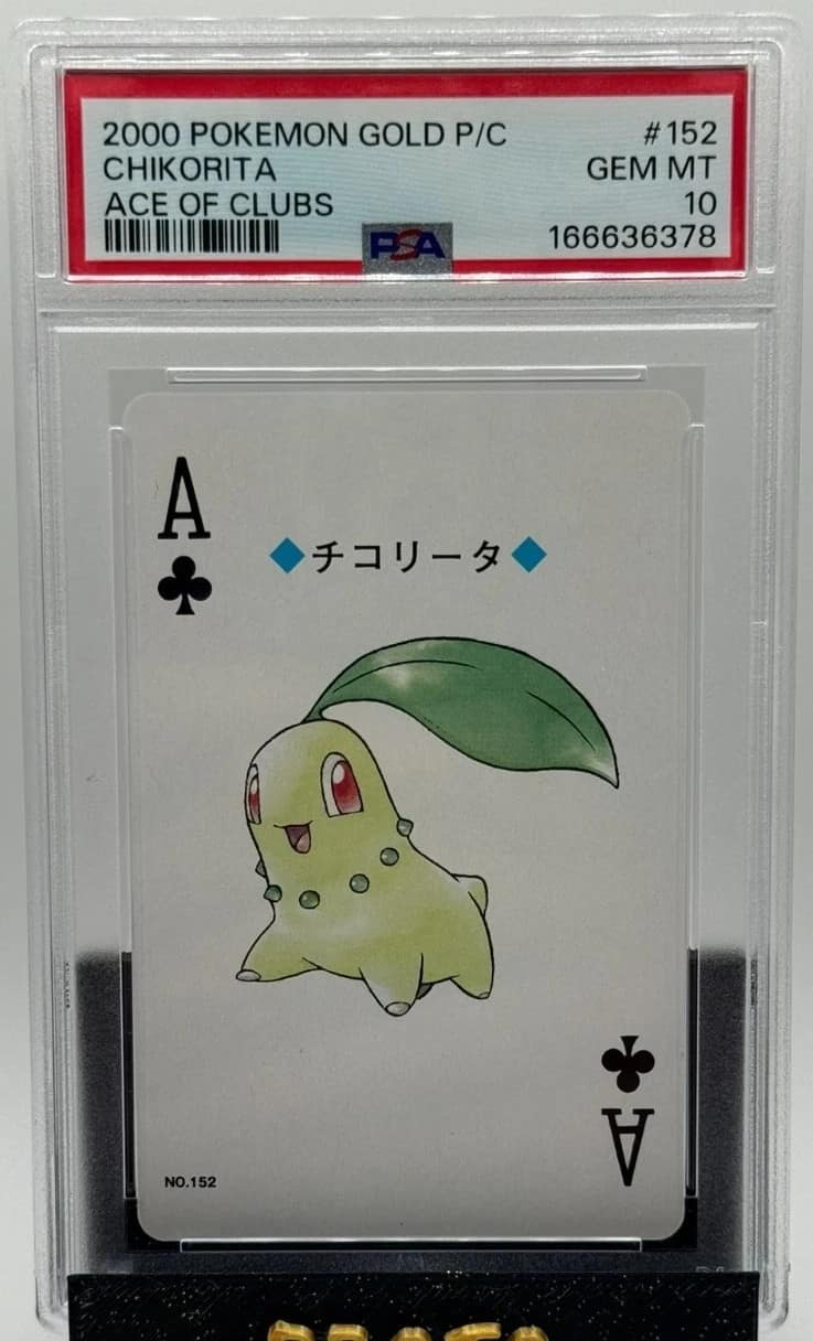 Chikorita