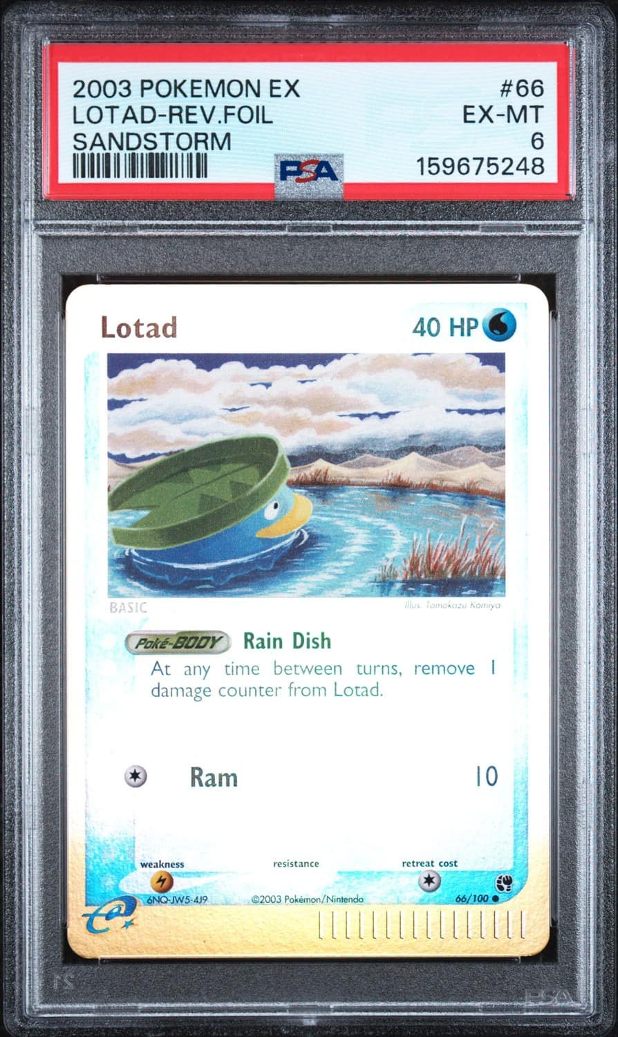 Lotad