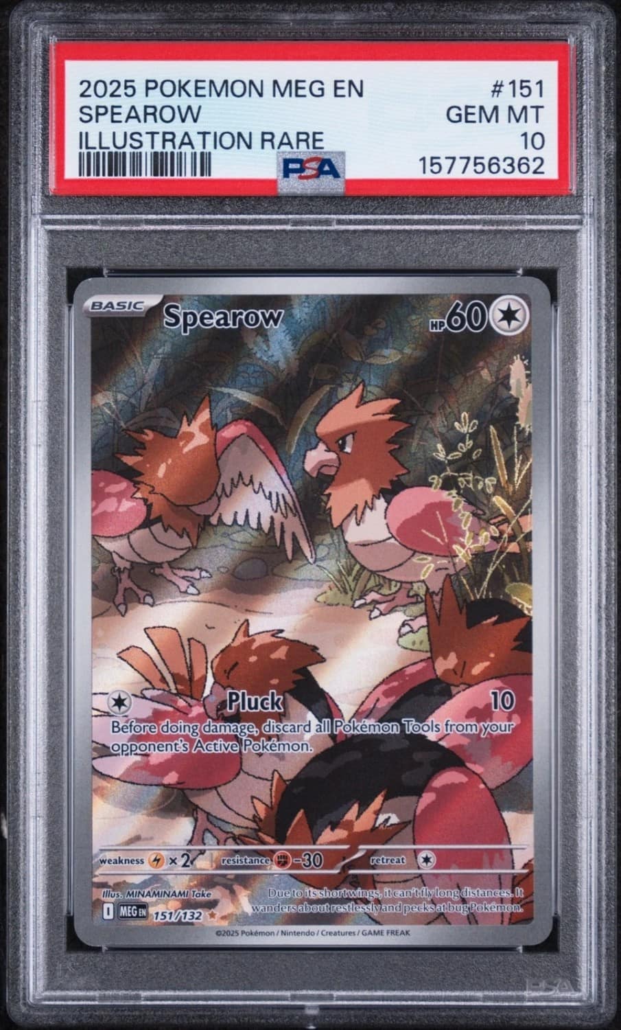 Spearow
