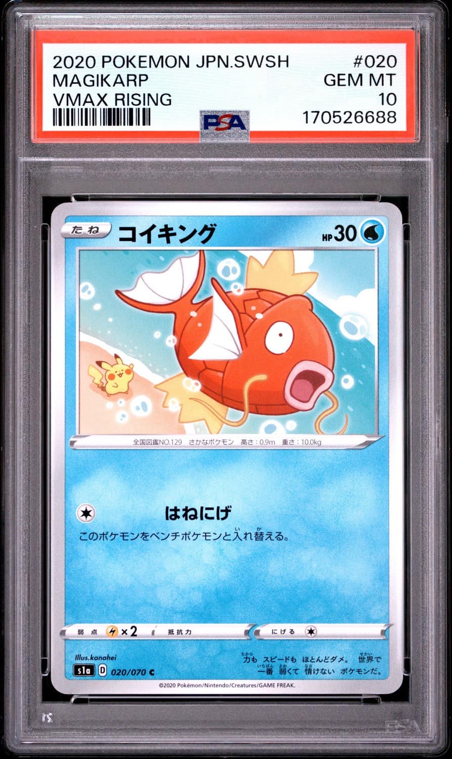 Magikarp
