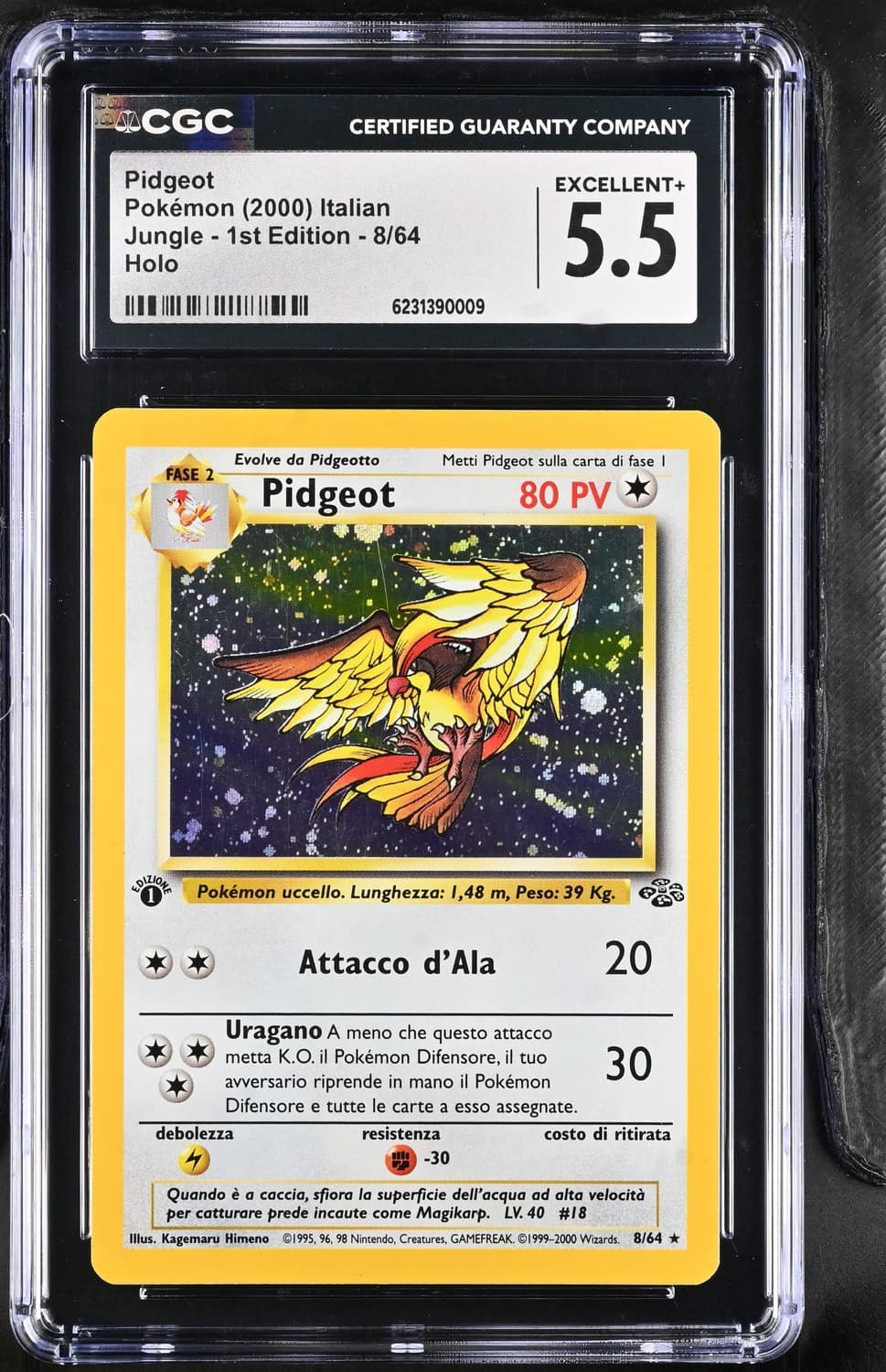 Pidgeot