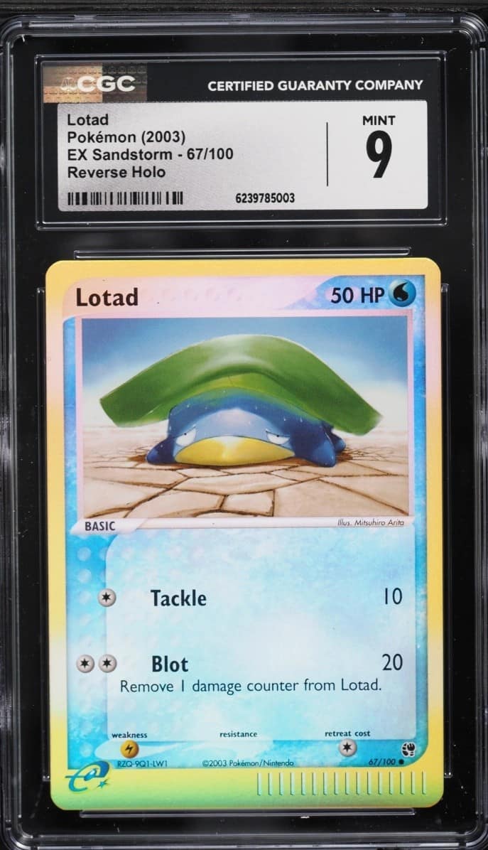 Lotad