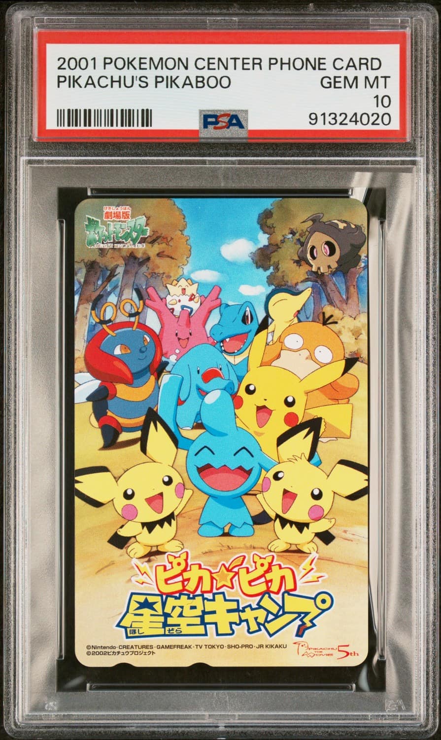 Pikachu'S Pikaboo