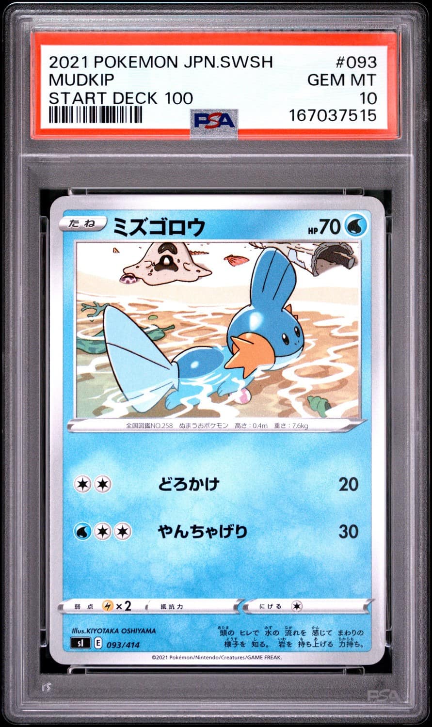 Mudkip