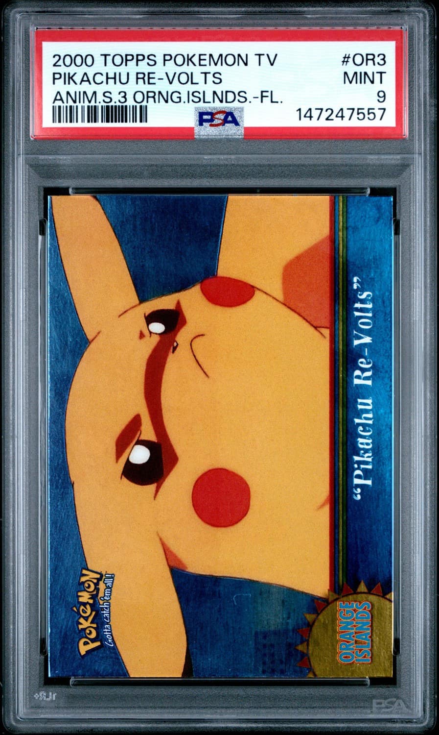 Pikachu Re-Volts