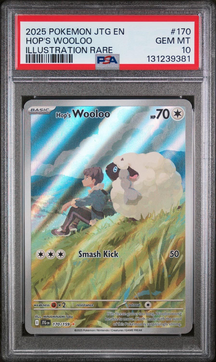 Hop'S Wooloo