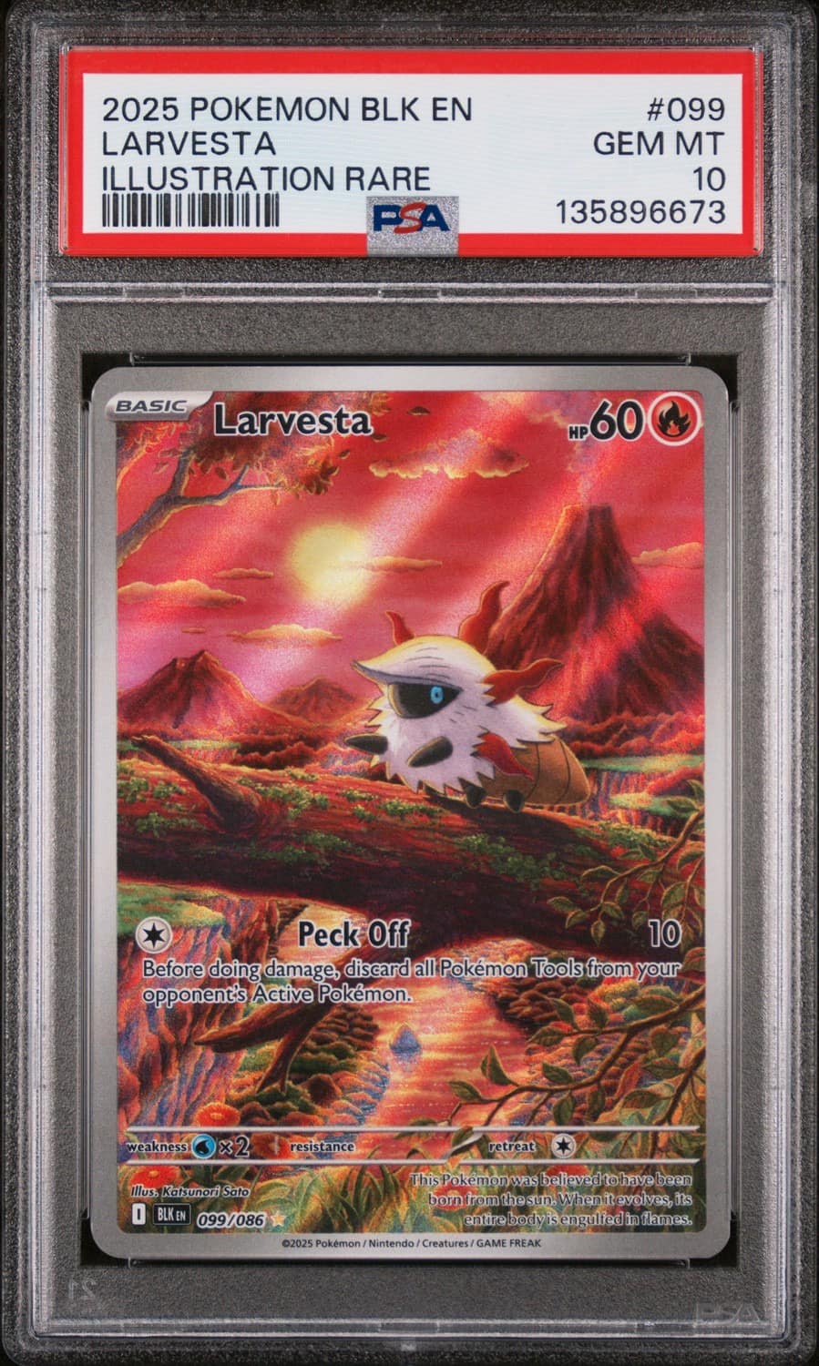 Larvesta