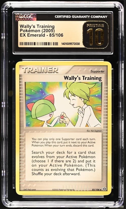 Wally'S Training