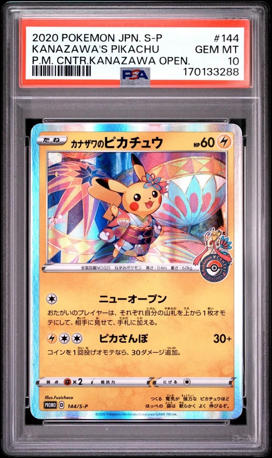 Kanazawa'S Pikachu