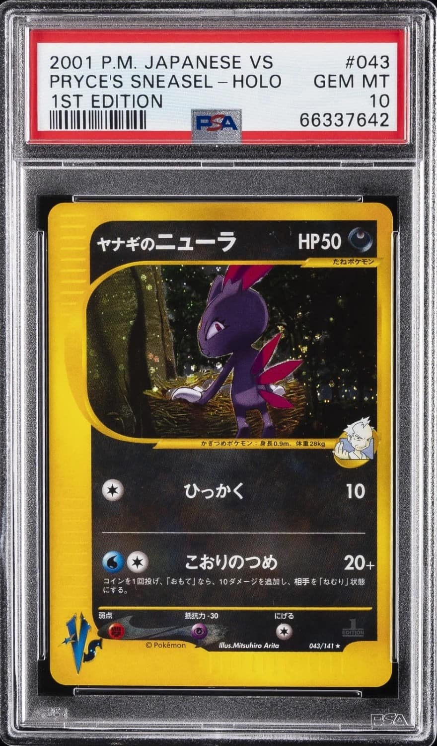 Pryce'S Sneasel