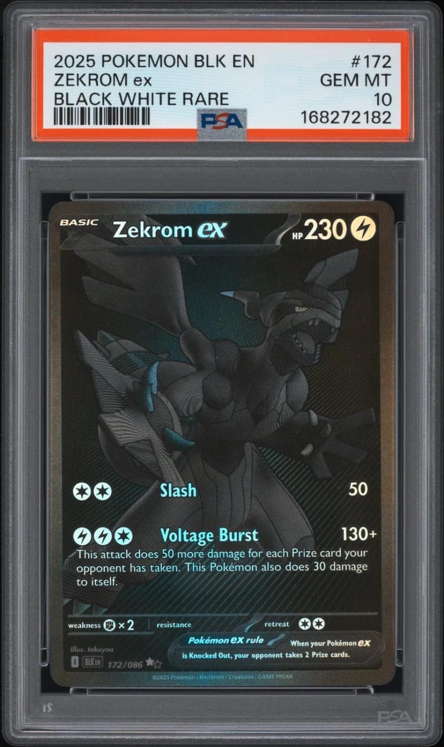 Zekrom Ex