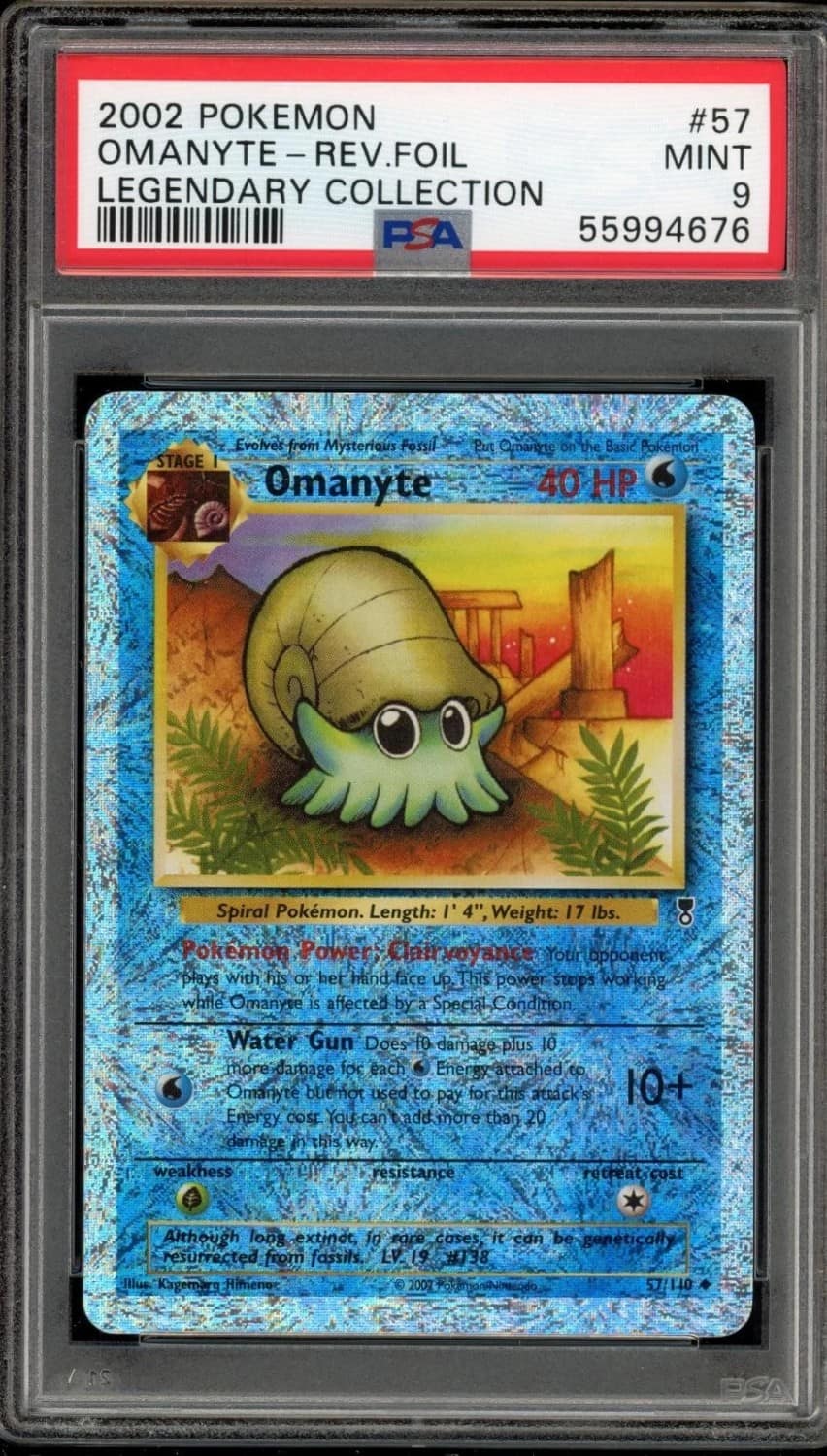 Omanyte