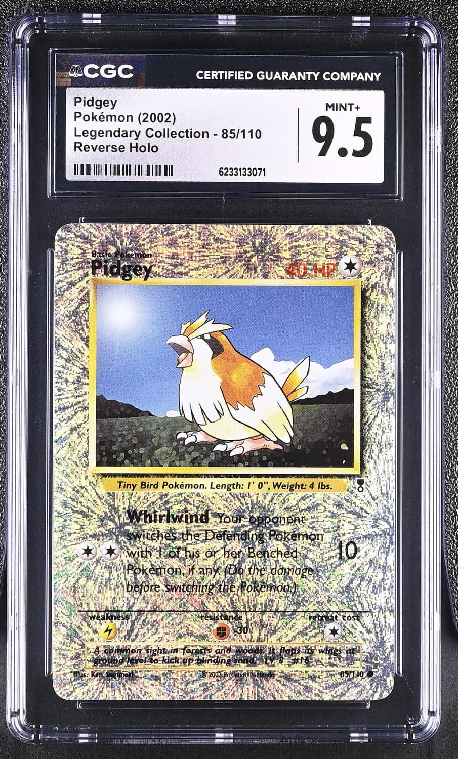 Pidgey