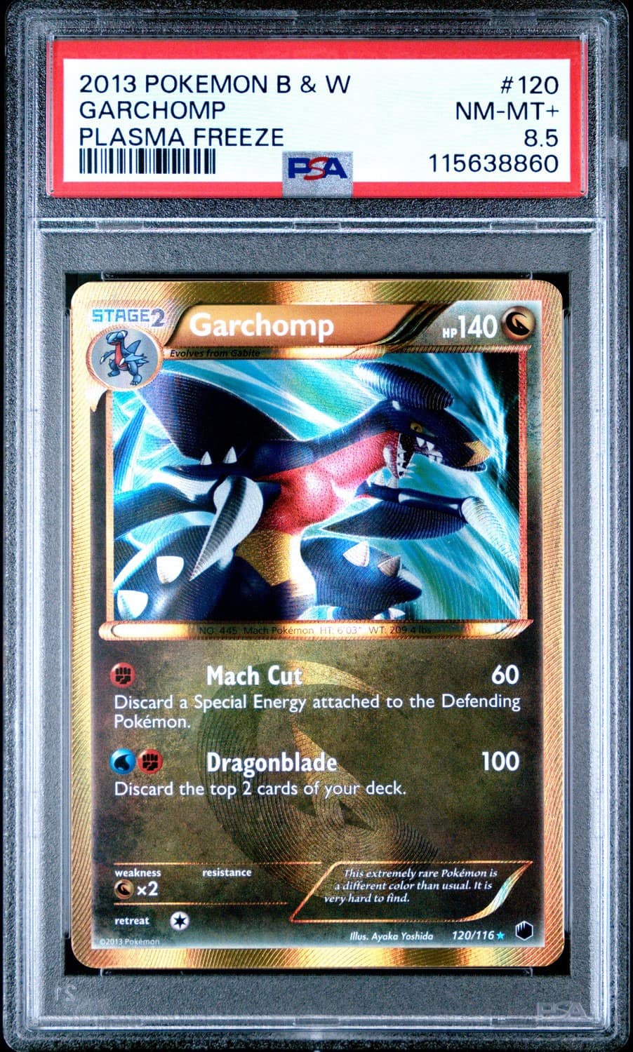 Garchomp