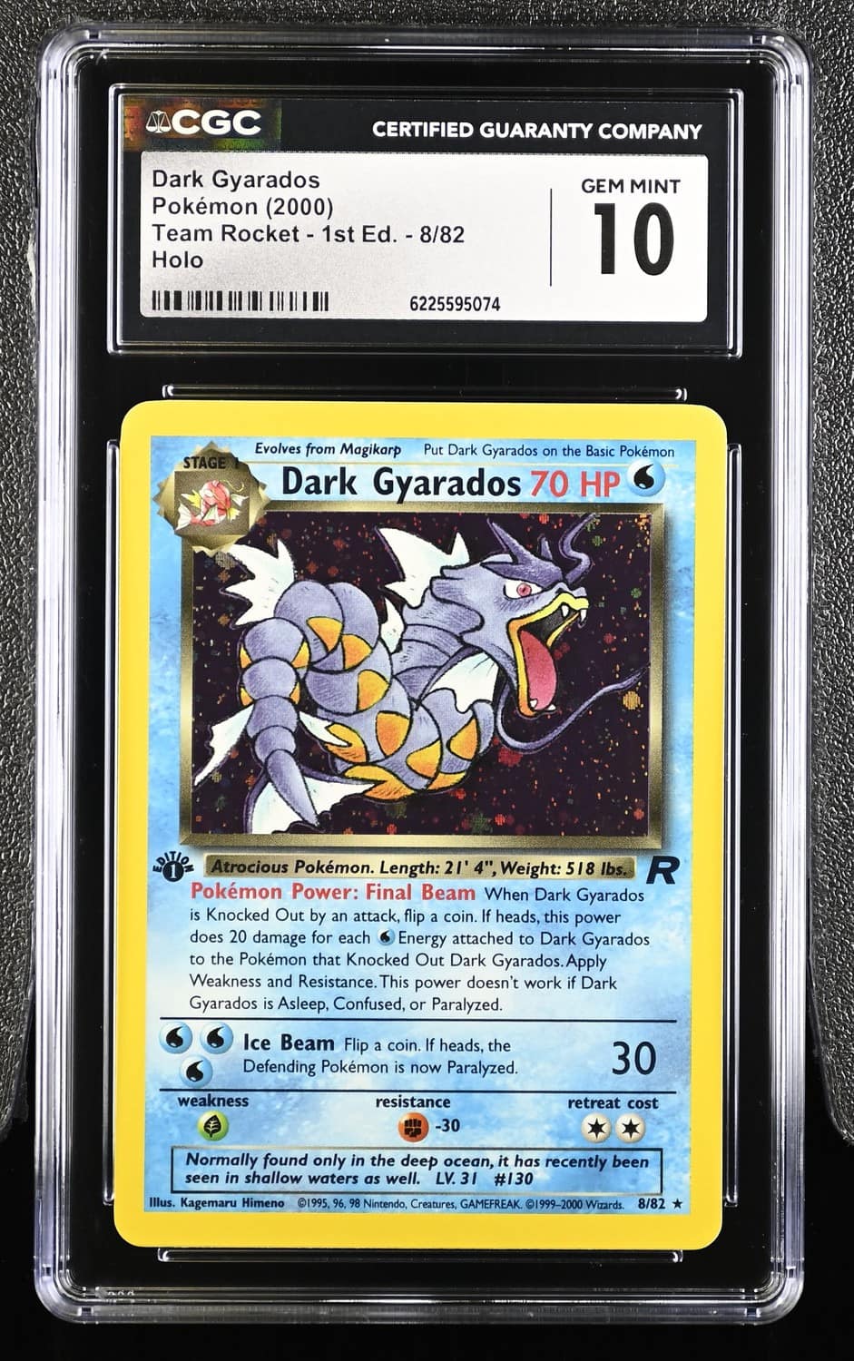Dark Gyarados