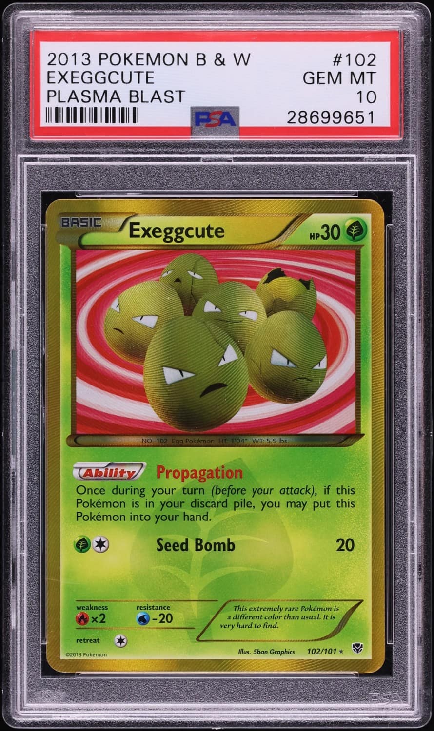 Exeggcute