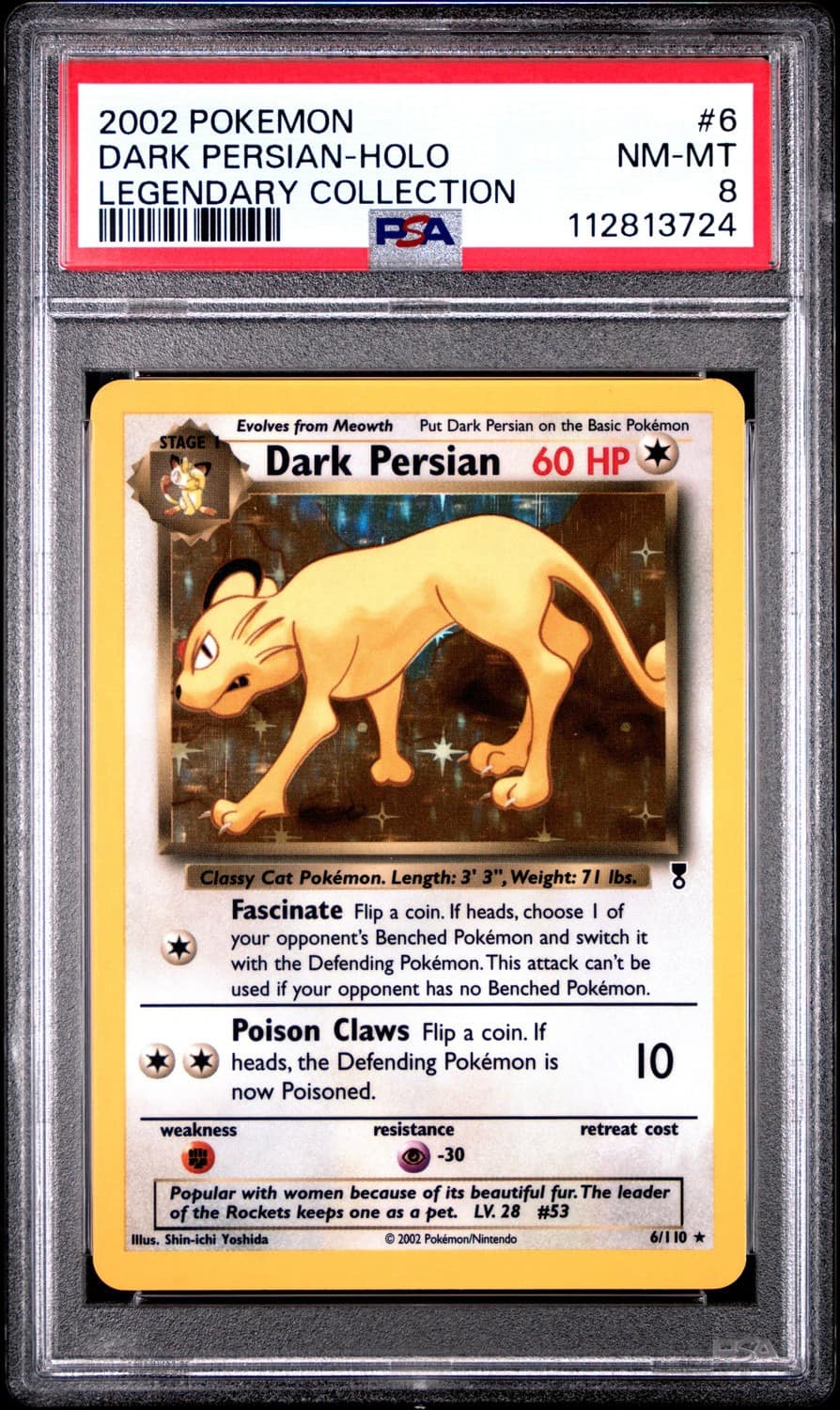 Dark Persian