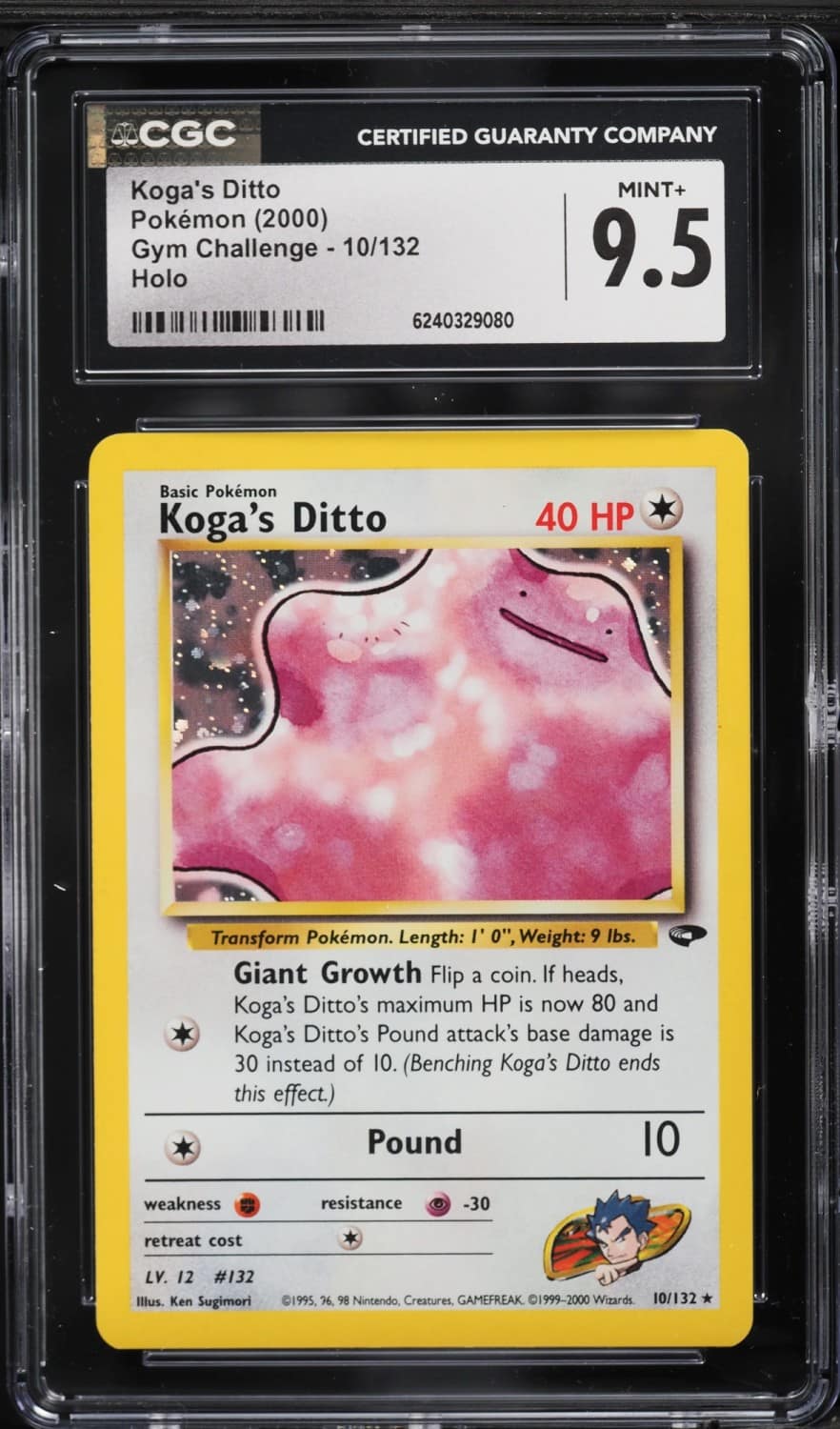 Koga'S Ditto