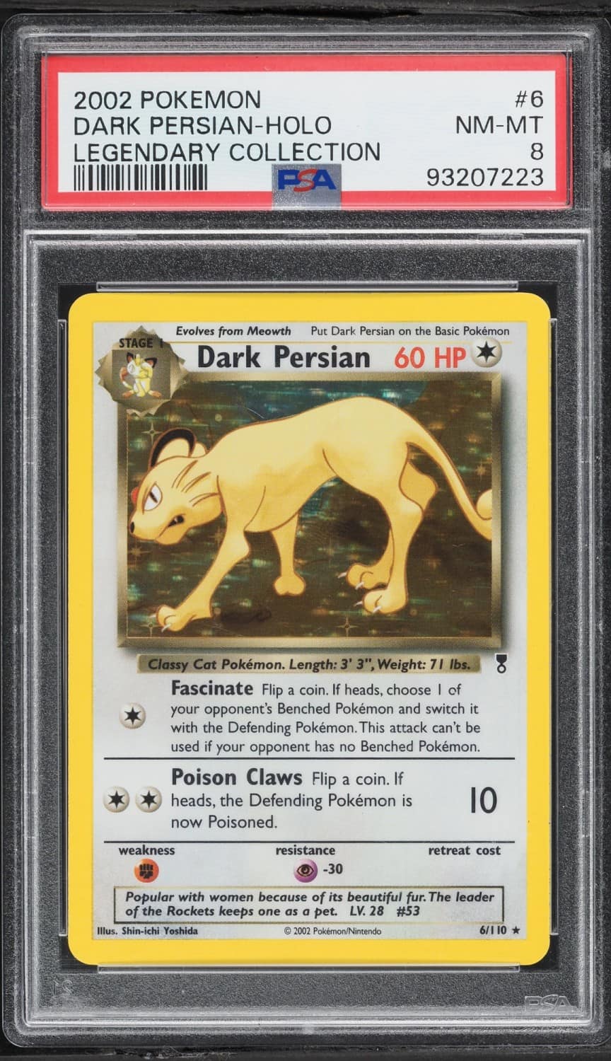 Dark Persian