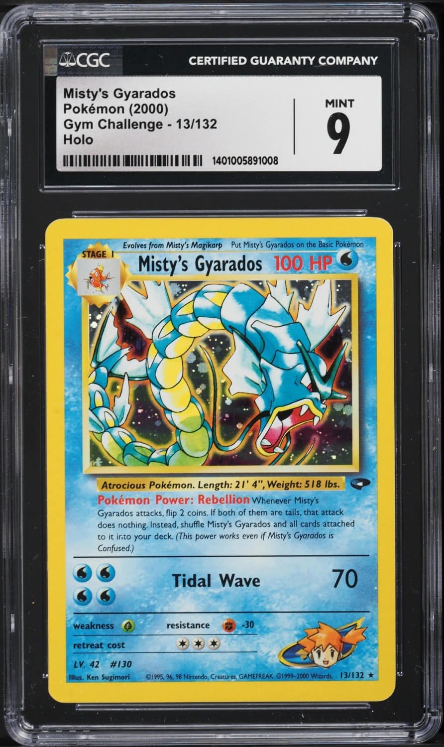 Misty'S Gyarados