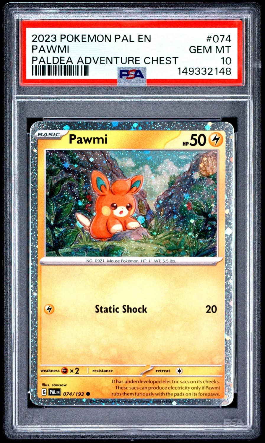Pawmi