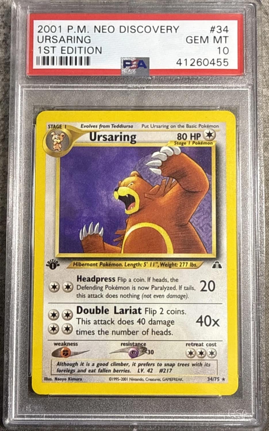 Ursaring