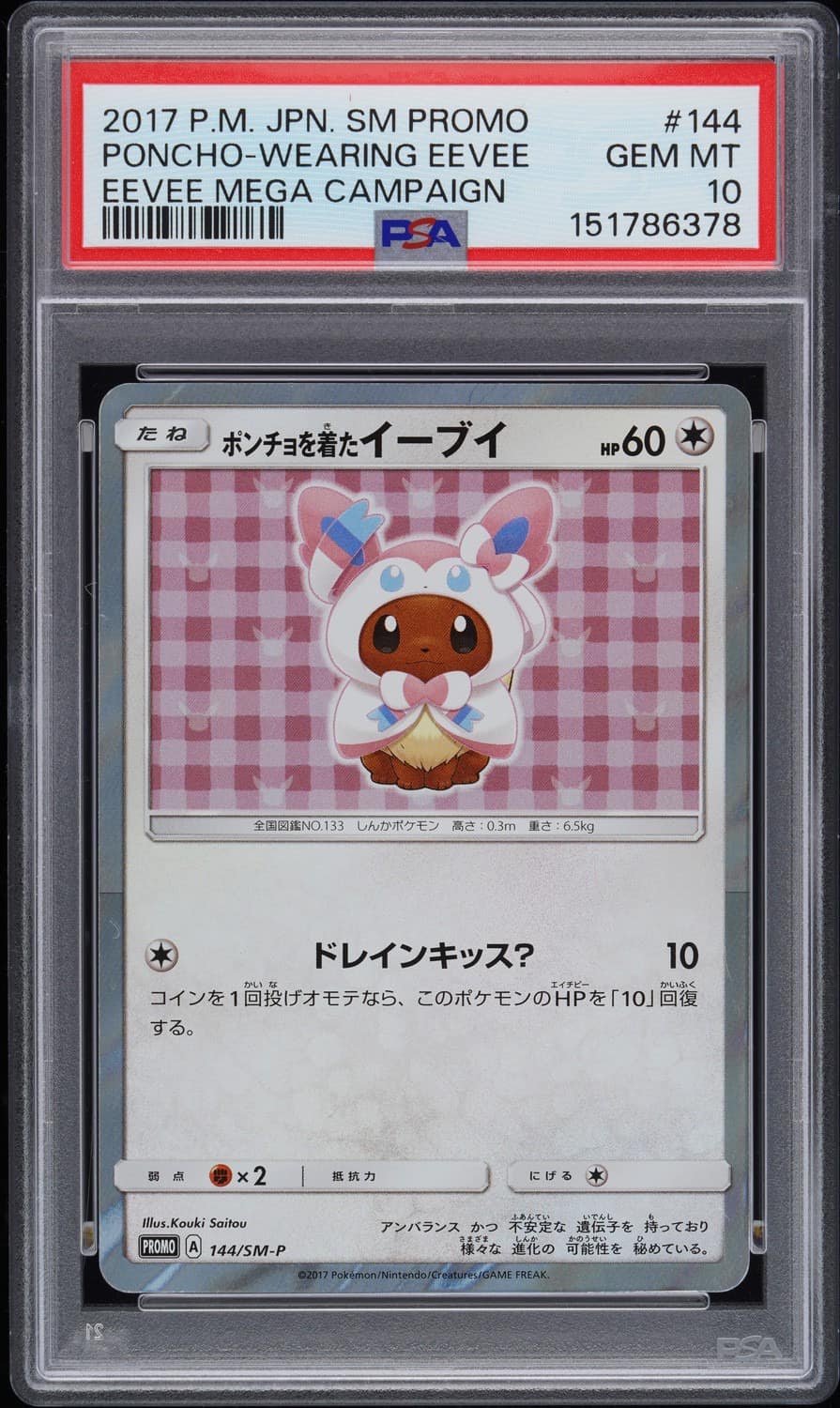 Poncho-Wearing Eevee