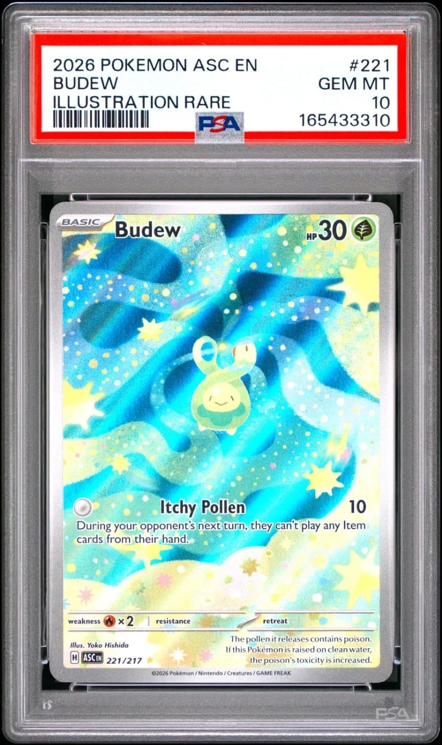 Budew