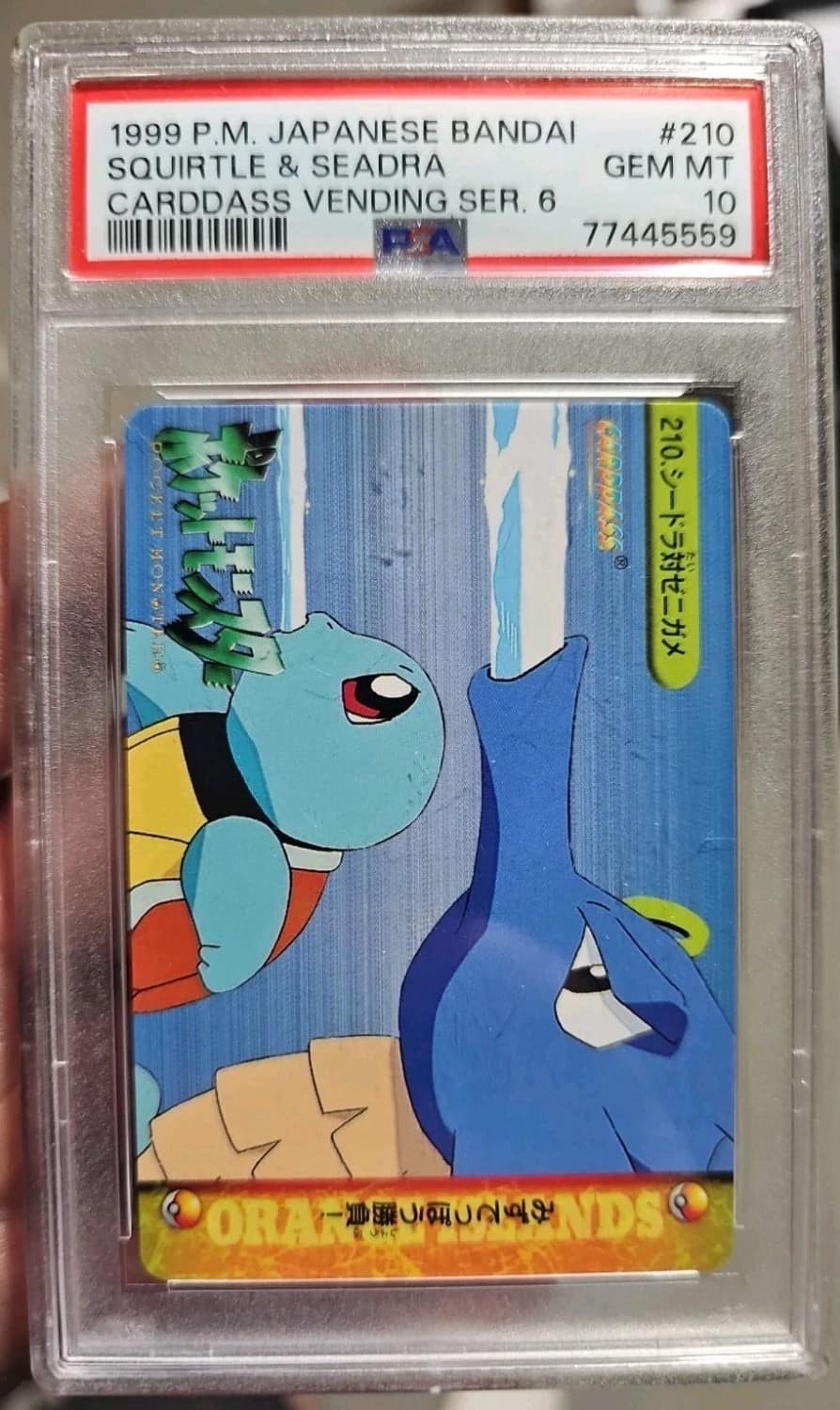 Squirtle & Seadra
