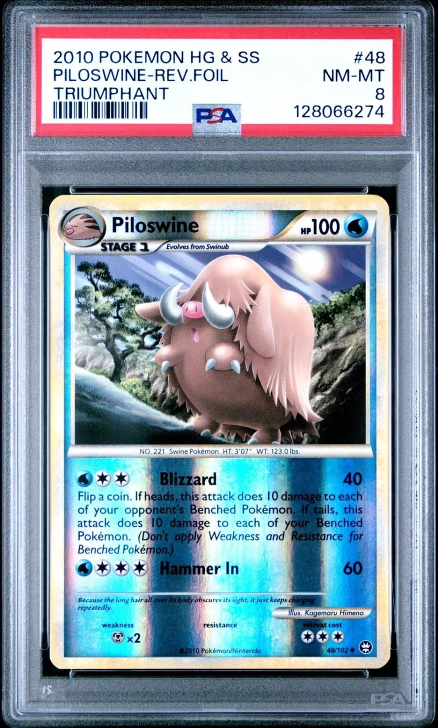 Piloswine