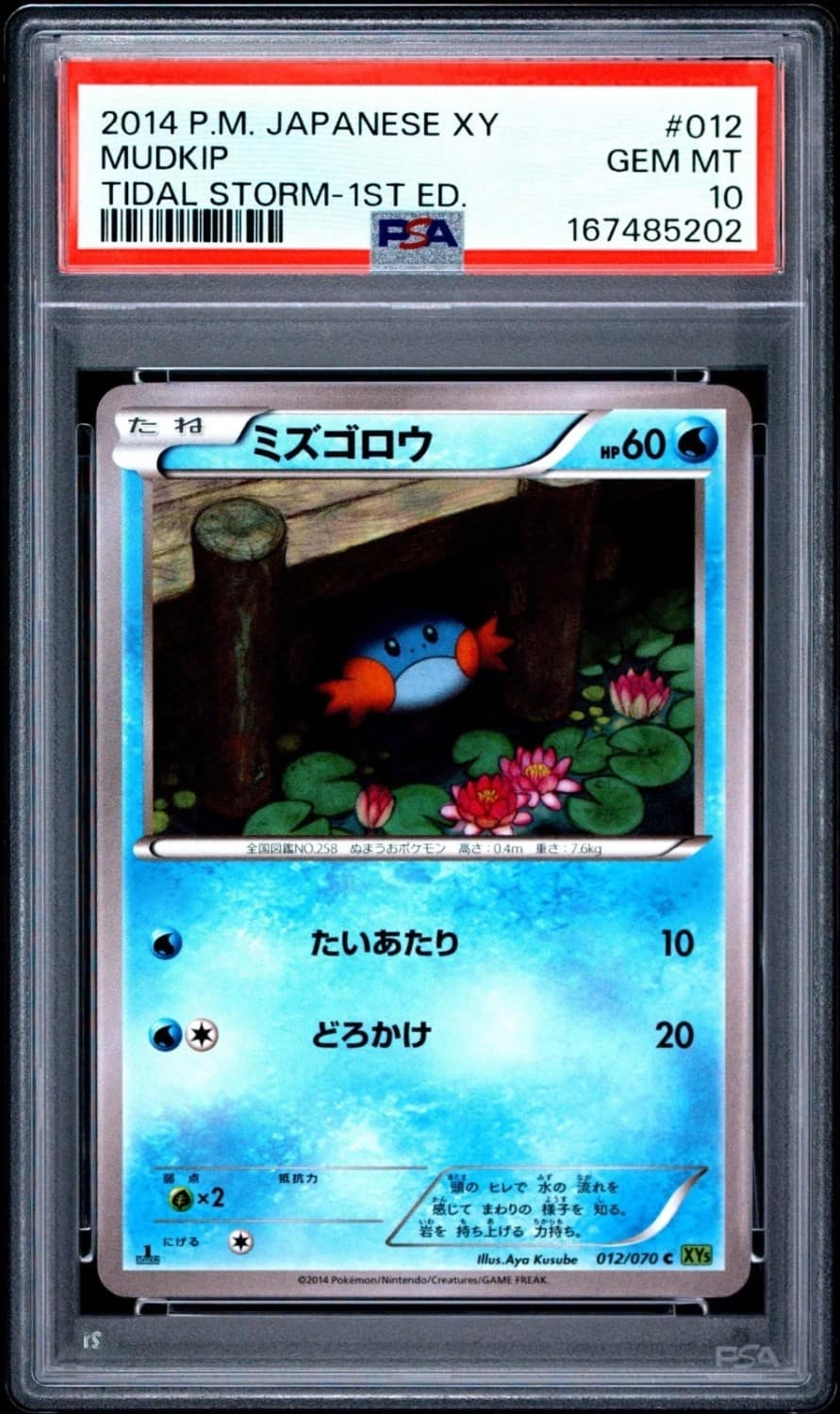 Mudkip