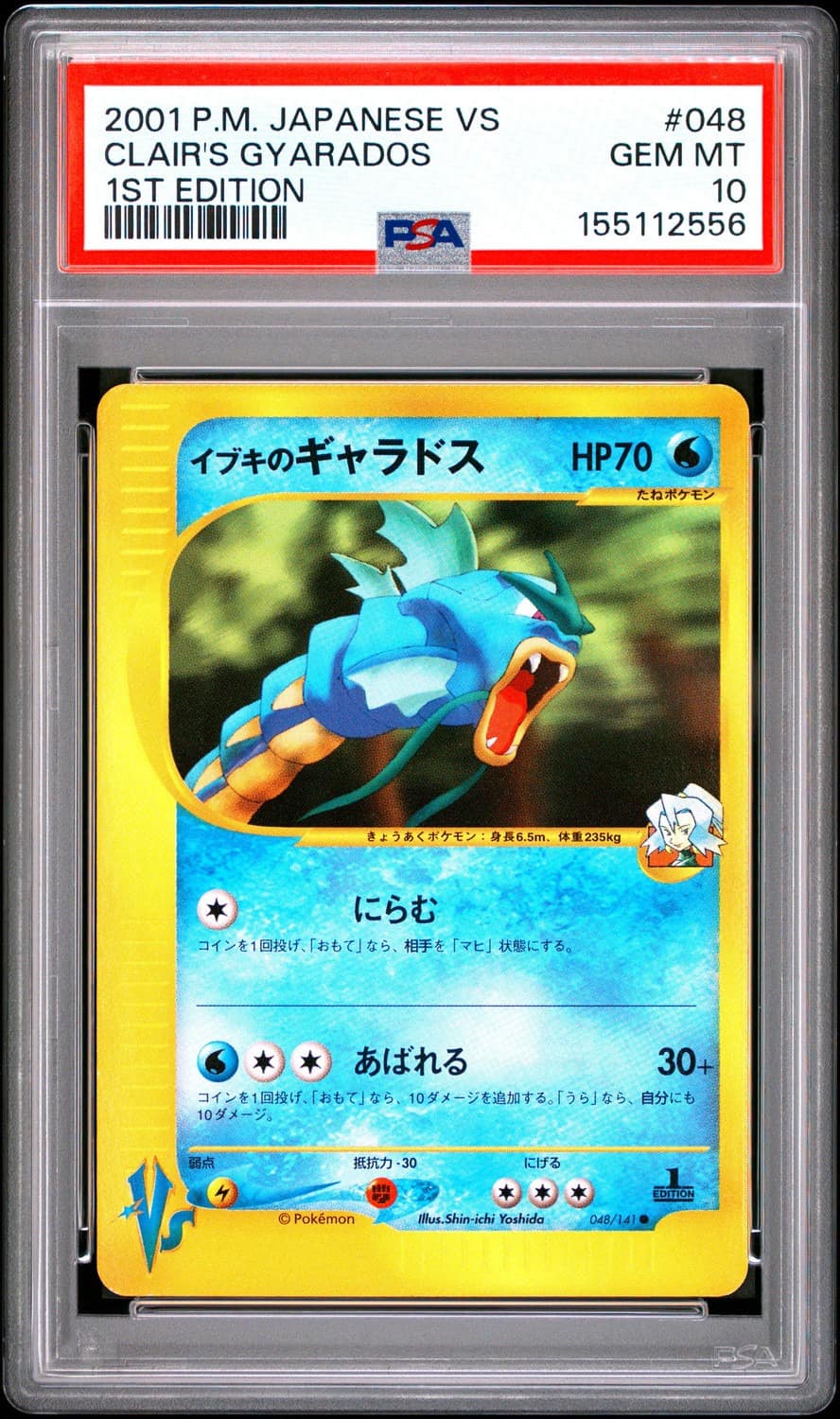 Clair'S Gyarados