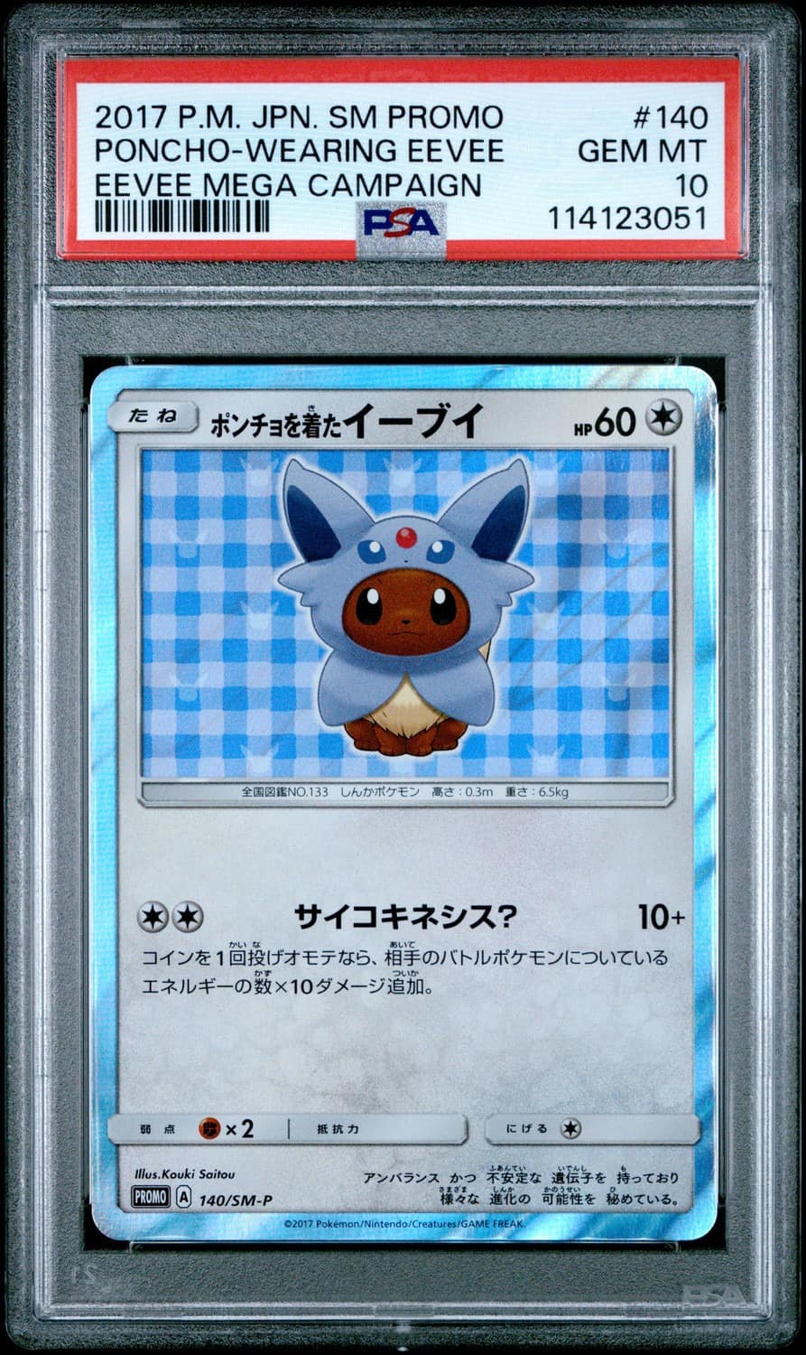 Poncho-Wearing Eevee