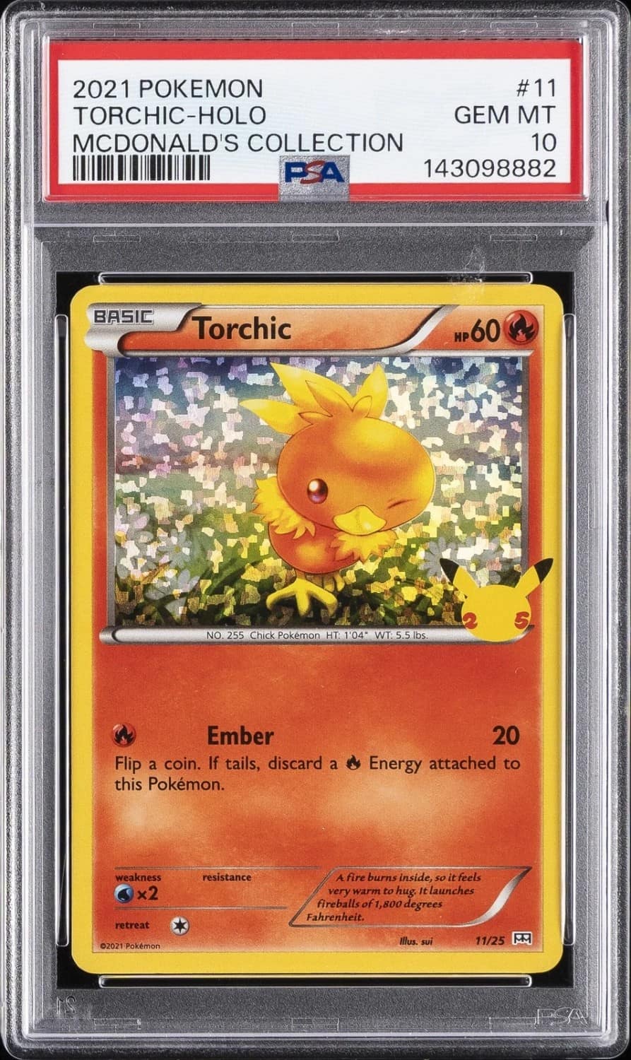 Torchic