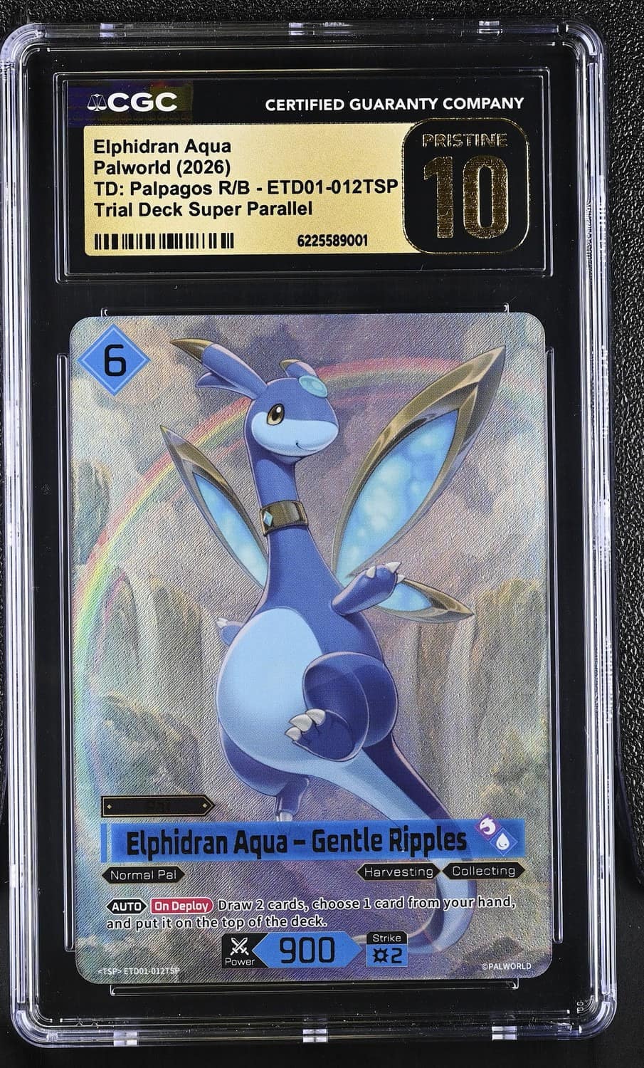 Elphidran Aqua