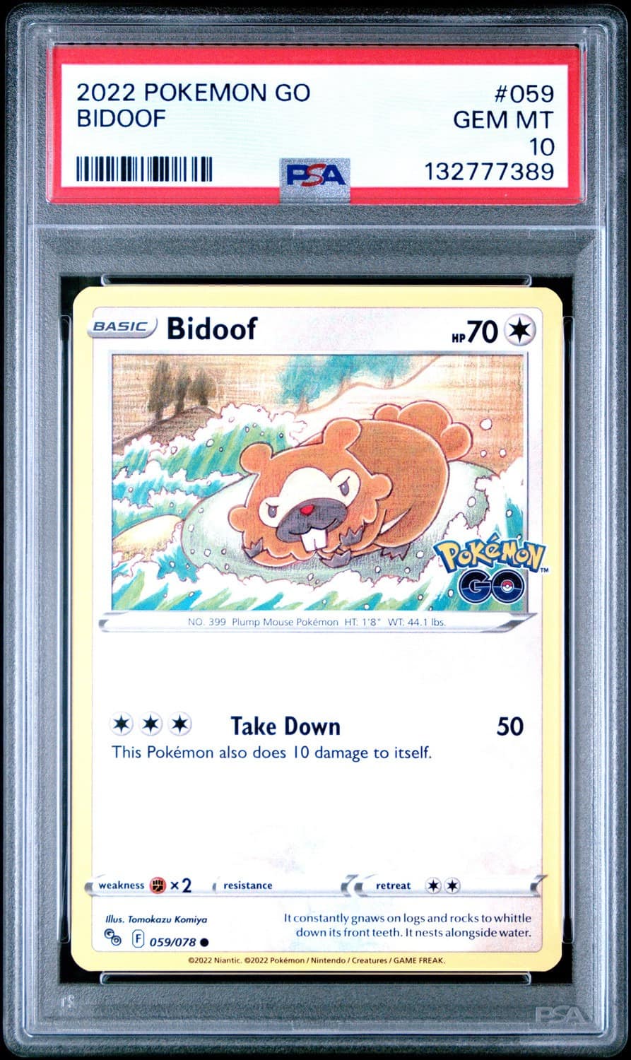 Bidoof