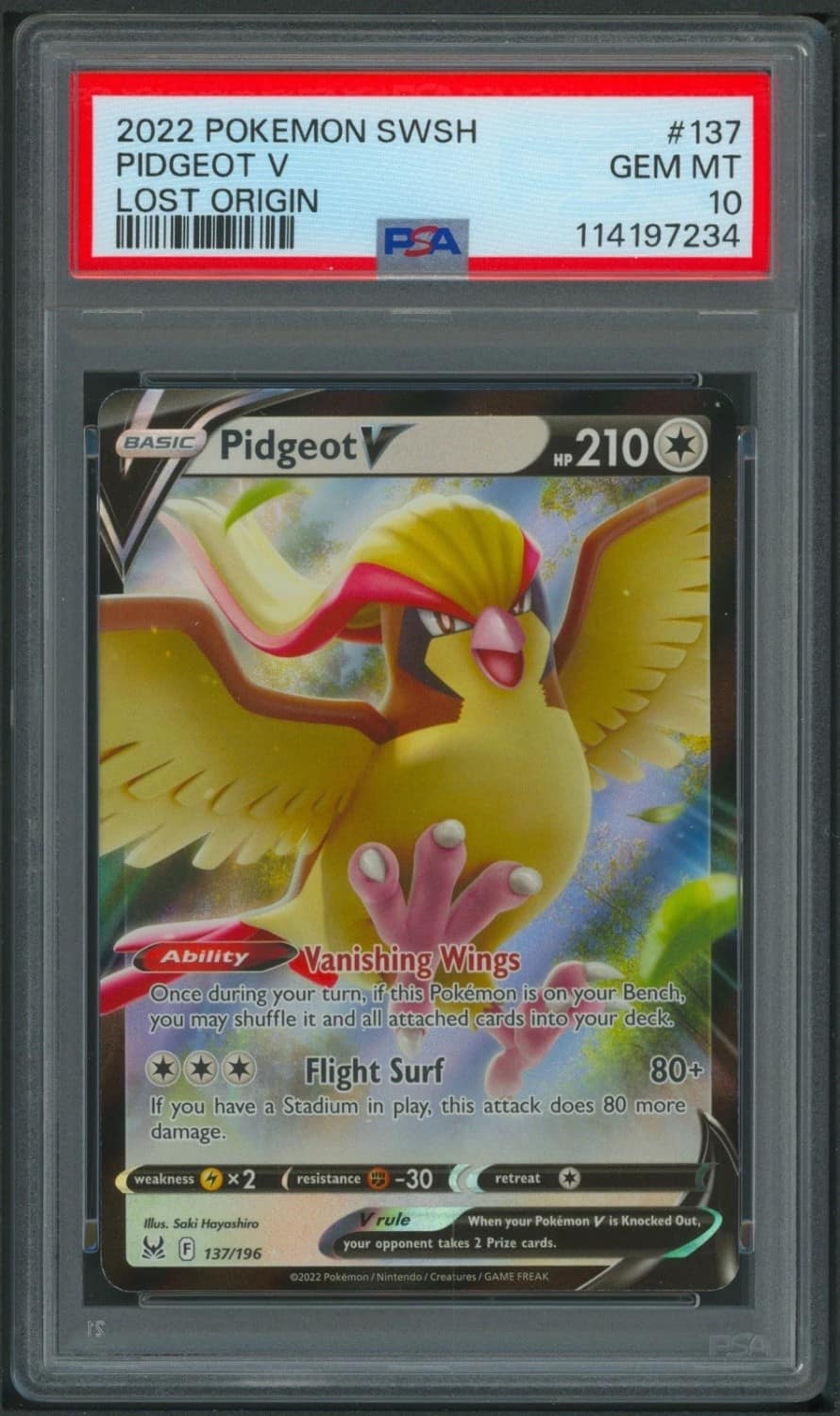 Pidgeot V