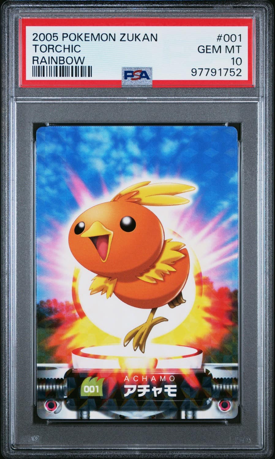 Torchic