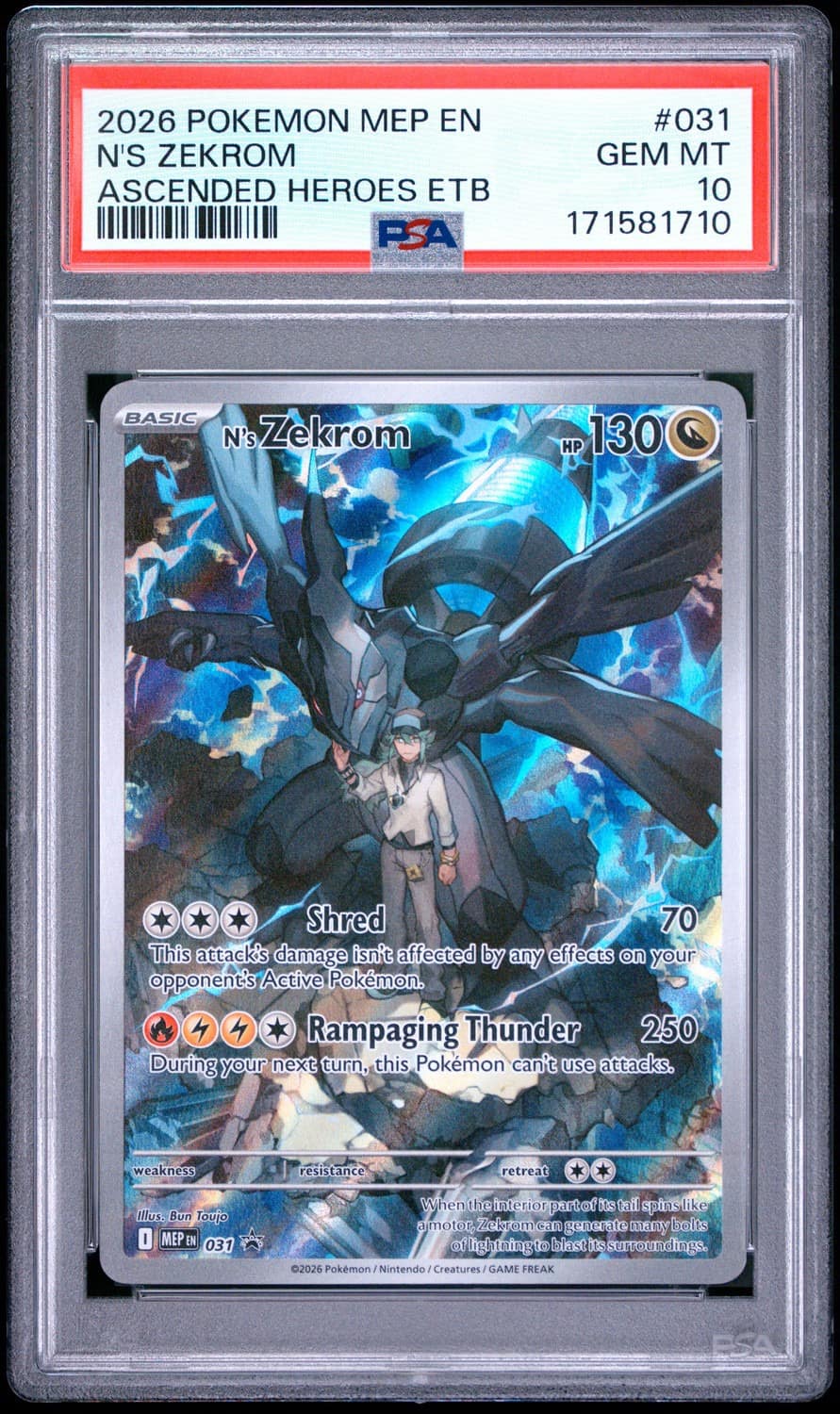 N'S Zekrom