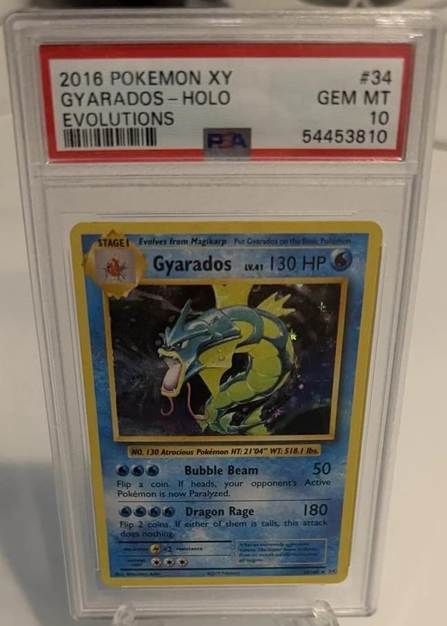 Gyarados
