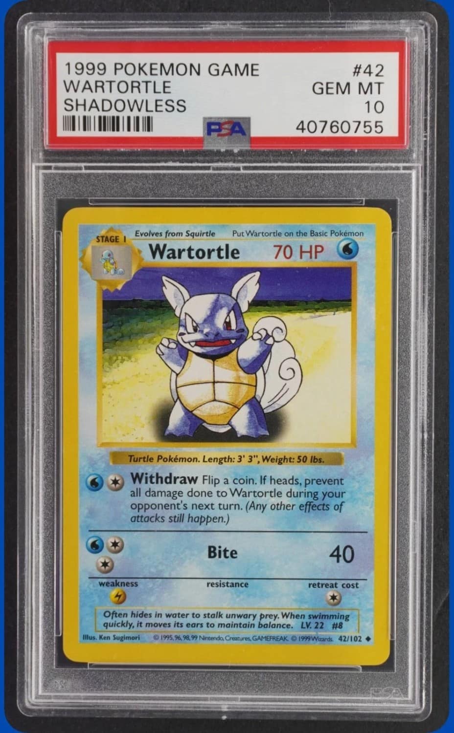 Wartortle